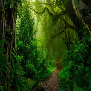 The Higherside Chats