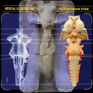 The Higherside Chats