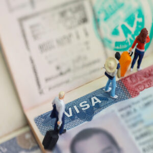 The Higherside Chats