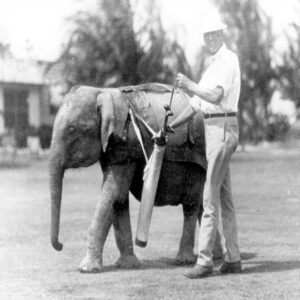 Dr. Narco Longo | Old World Florida: Lost History, Mystery, Elephants, & Oranges