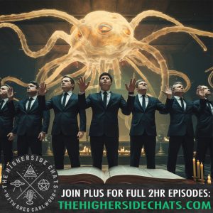 The Higherside Chats